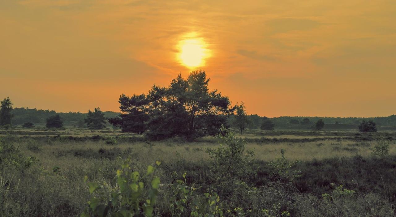 Lodge Koolmees Nunspeet Veluwe Екстериор снимка